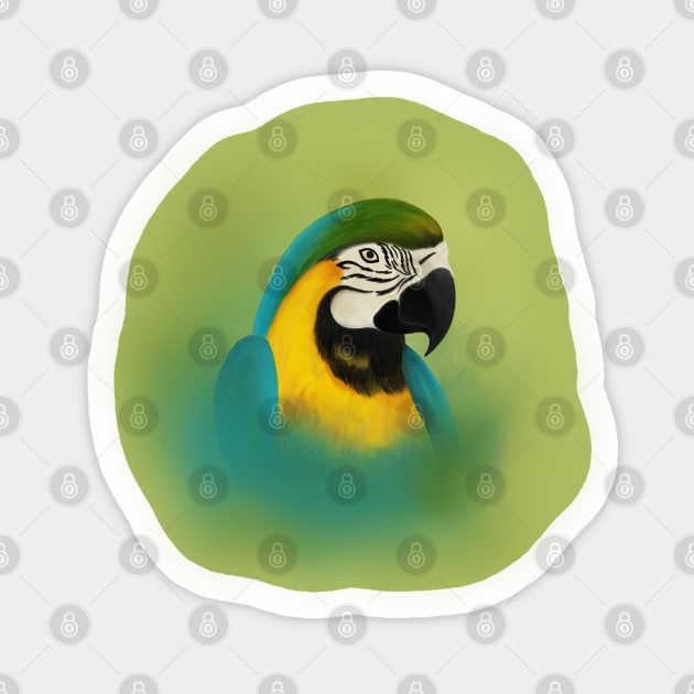 Tropical Macaw Sticker by Unalome_Designs